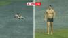 క్రికెట్ గ్రౌండ్‌లో స్విమ్మింగ్ చేసిన క్రికెట్ - బెంగళూరు స్టేడియంలో వింత - వీడియో వైరల్