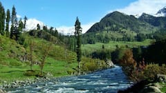 पहलगाम में कई सालों से है ये अकेला पेड़, इसके नाम से मशहूर है यहां का एक टूरिस्ट प्लेस