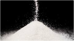 సాల్ట్ తింటే కూడా బరువు పెరుగుతారా? షుగర్​లాగానే సాల్ట్ కూడా బరువు పెరిగేలా చేస్తుందా?