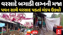 Dang Rain : ડાંગમાં વરસાદે બગાડી લગ્નની મજા, પવન સાથે વરસાદ પડતાં મંડપ ધરાશાયી, જુઓ અહેવાલ