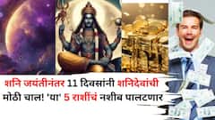 शनि जयंतीनंतर बरोबर 11 दिवसांनी शनिदेवांची मोठी चाल! 'या' 5 राशींचं नशीब पालटणार, गोल्डन टाईम येणार, यश तुमच्या दारी असेल