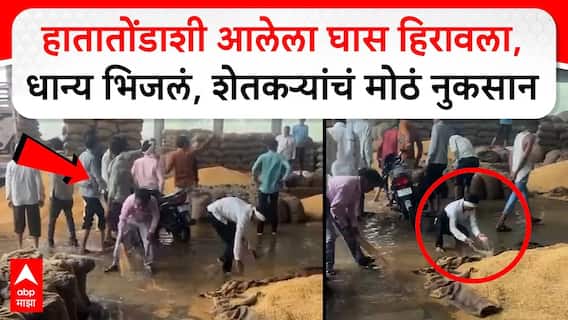 Amravati Rain Loss : अमरावतीच्या धामणगावातील बाजार समितीत पावसामळे शेतकऱ्यांचं मोठं नुकसान