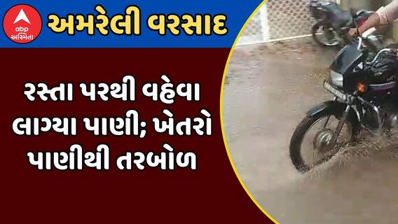 Amreli Rain : અમરેલીમાં ખાબક્યો બરબાદીનો વરસાદ, રસ્તા પરથી વહેવા લાગ્યા પાણી; ખેતરો પાણીથી તરબોળ