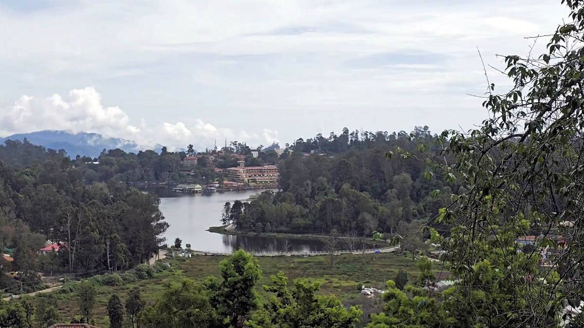 கோடை சீசனில் கண்ணை கவரும் வண்ண ரோஜாக்கள்.. செல்பி எடுத்து மகிழும் சுற்றுலாப் பயணிகள்