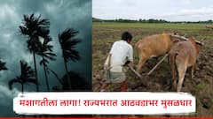 शेतकऱ्यांनो मशागतीला लागा! आजपासून आठवडाभर राज्यात विजांच्या कडकडाटासह मुसळधारा, पंजाबराव डख म्हणाले...