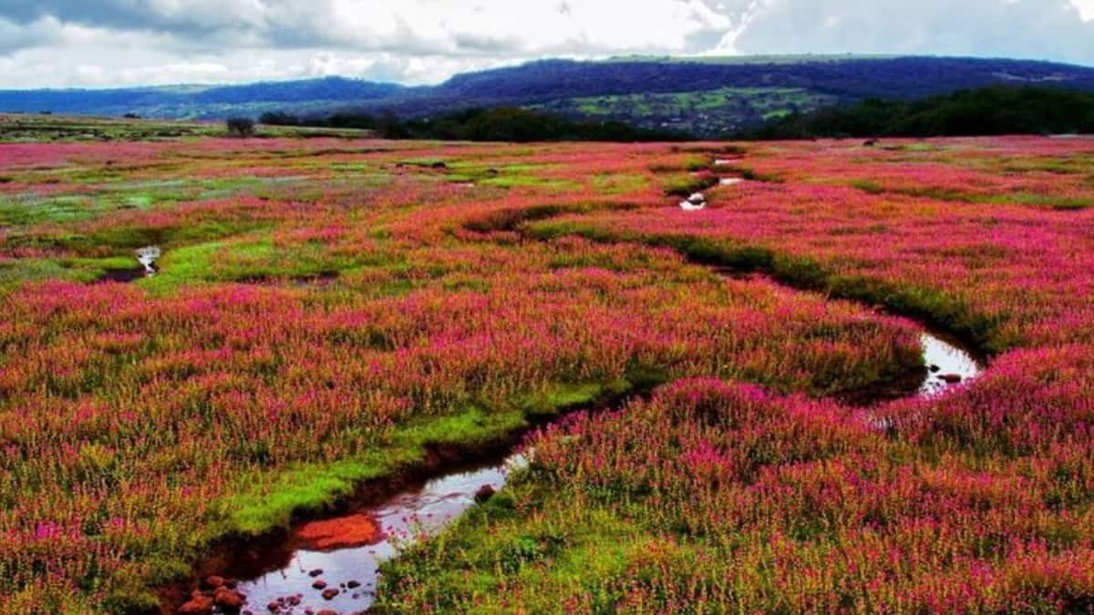 (Image Source: Pinterest/maharashtratourismofficial)