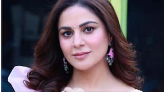 शादी से पहले कुंडली भाग्य के प्रीता की टूट चुकी है सगाई, दूसरे रिश्ते में भी दुखा दिल, फिर यूं मिला सपनों का राजकुमार