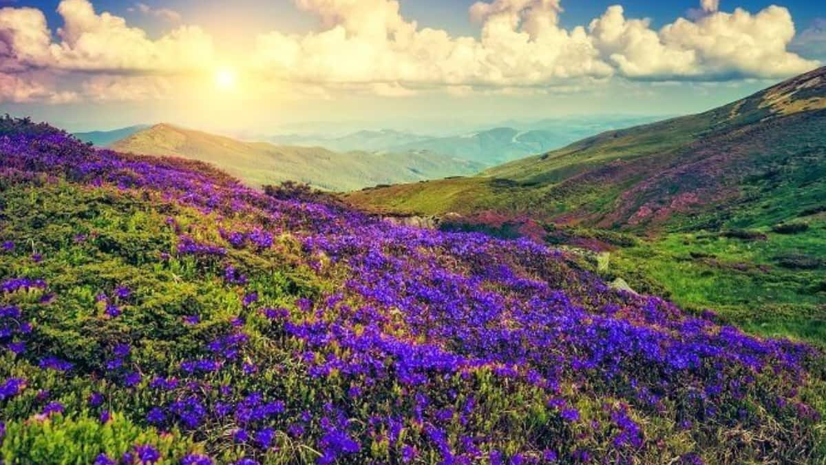 (Image Source: Pinterest/suryavoyage)