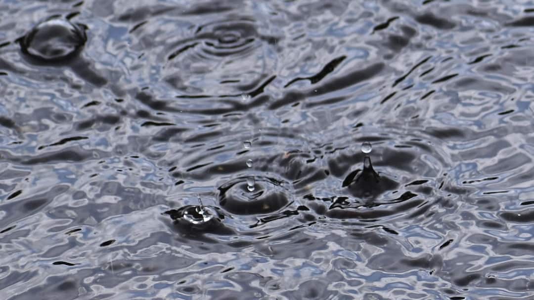 IMD Forecasts Widespread Rain Thunderstorms Across Tamil Nadu, Kerala & Karnataka For Next 5 Days IMD Forecasts Widespread Rain, Thunderstorms Across TN, Kerala & Karnataka For Next 5 Days