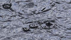 IMD Forecasts Widespread Rain, Thunderstorms Across TN, Kerala & Karnataka For Next 5 Days