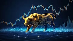 Share Market: Benchmark Indices, Sensex and Nifty, Log Best Weekly Gain Since October 2024