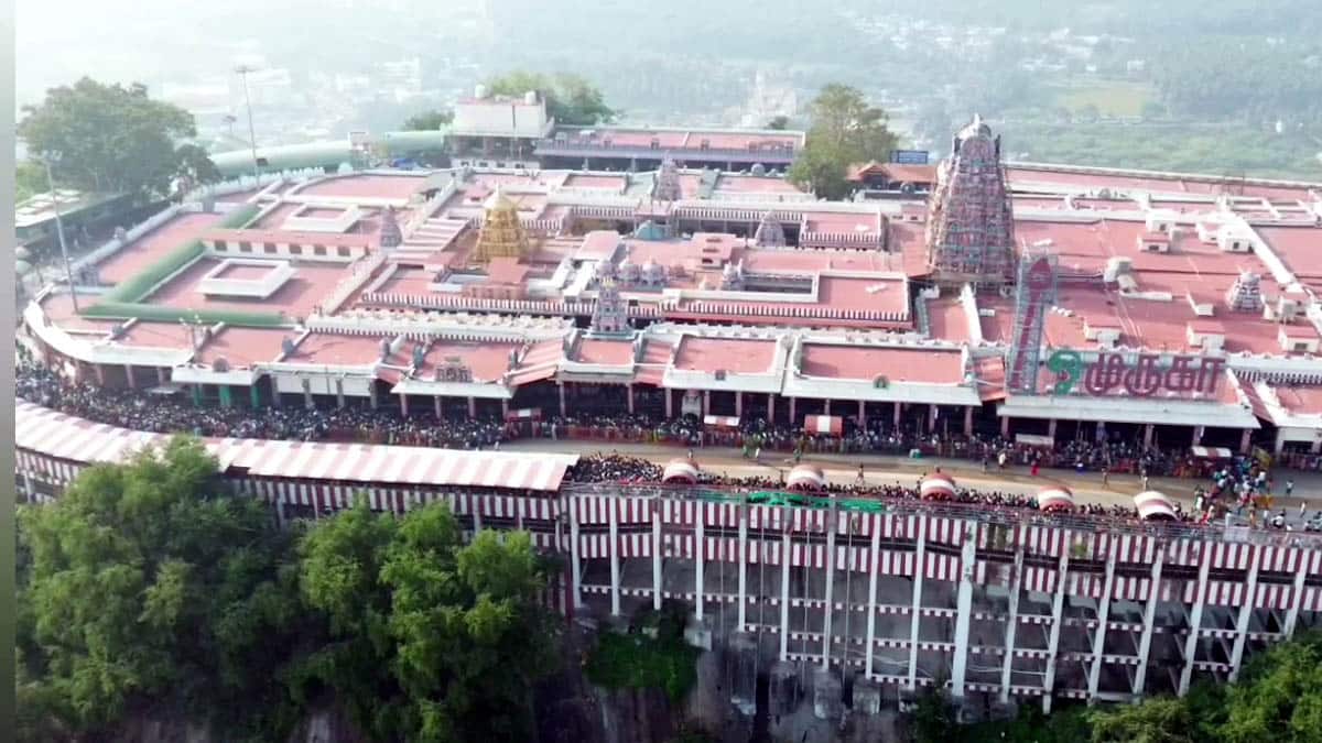 பக்தர்களே... பழனி முருகன் கோயில் உண்டியல் வசூல் எவ்வளவு தெரியுமா..?