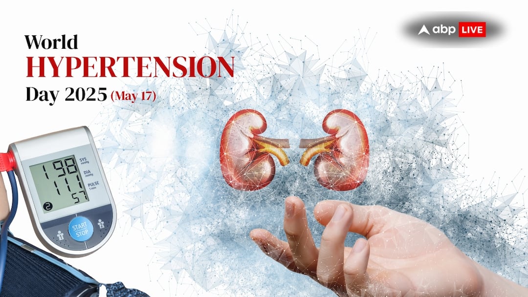 World Hypertension Day Hypertension Kidney Health Dangerous Connection Hypertension Is Linked To Kidney Health, Dangerously — Managing High BP Key To Saving The Vital Organs
