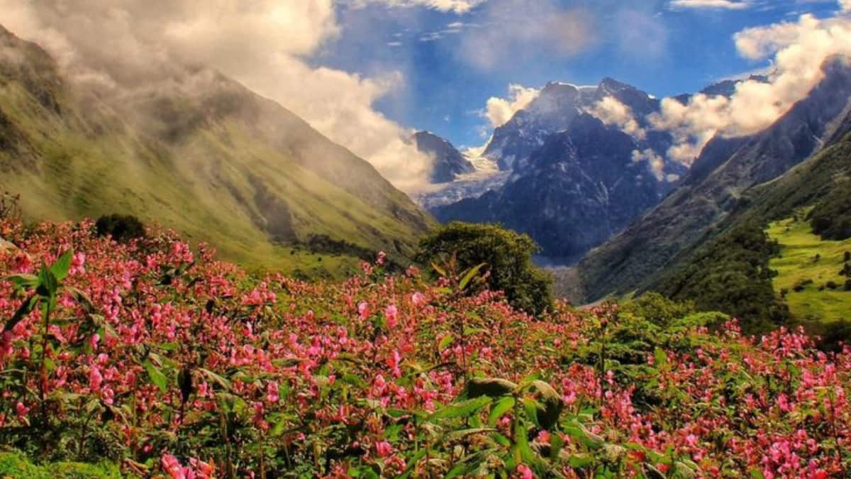 (Image Source: Pinterest/tourmyindia)