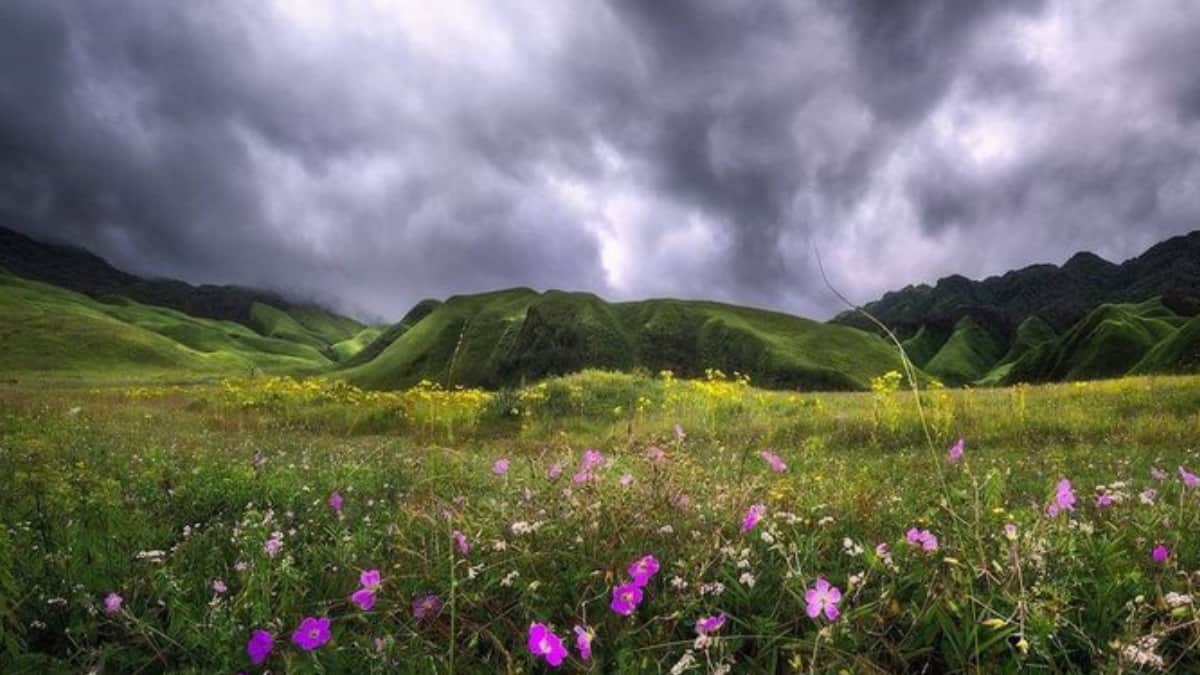 (Image Source: Pinterest/publiveindia)