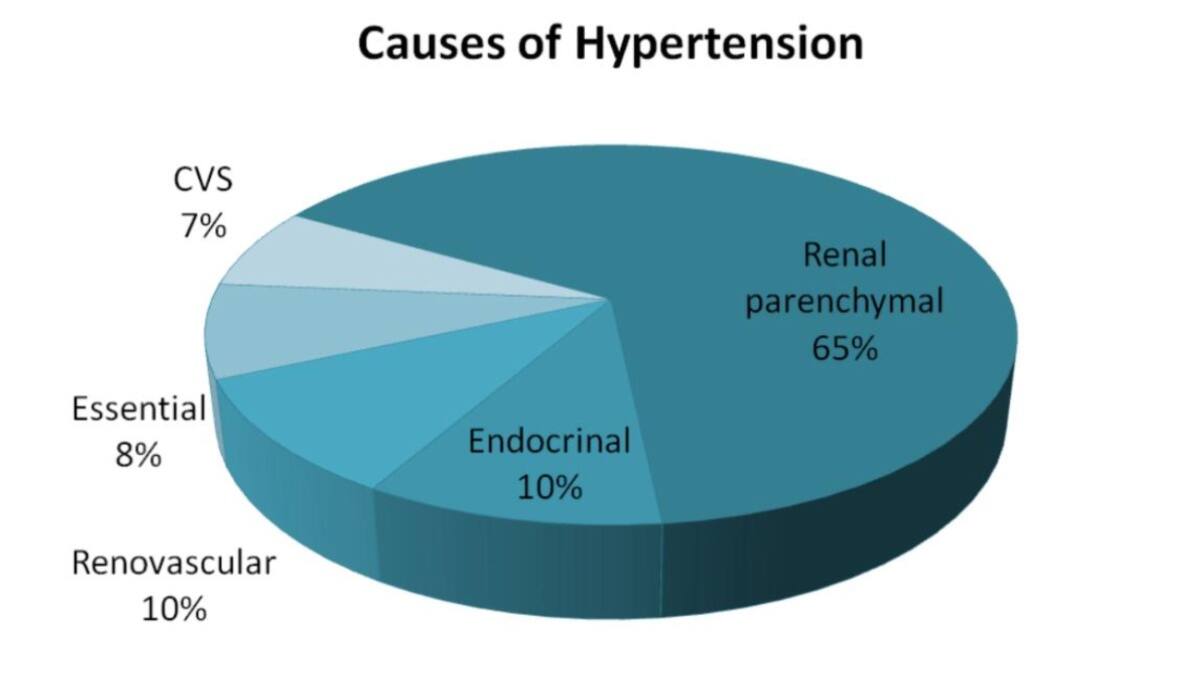 Parents Shouldn't Ignore High Blood Pressure In Kids; It Could Mean Hypertension: