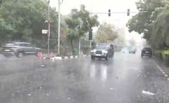 Tress Uprooted, Traffic Disrupted As Strong Winds, Dust Storms Hit Delhi-NCR: Video
