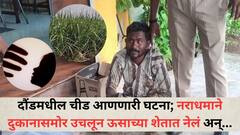 दौंडमधील चीड आणणारी घटना, 5 वर्षांच्या चिमुरडीवर अत्याचाराचा प्रयत्न, नराधमाने दुकानासमोर उचलून ऊसाच्या शेतात नेलं अन्...