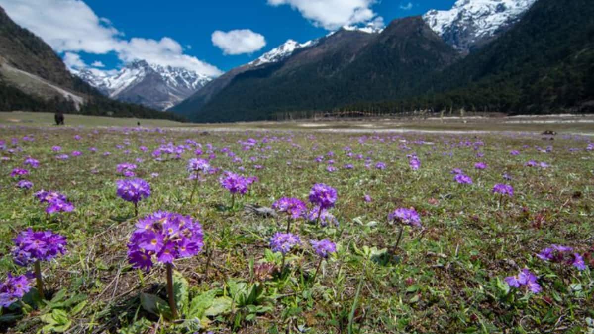 (Image Source: Pinterest/helpthetourists)