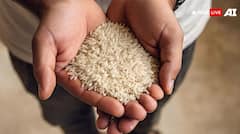 सेवा पुस्तिका ढूंढने को चढ़ेंगे चावल! PWD ऑफिस में 'दैवीय उपाय' का आदेश बना सोशल मीडिया का विषय