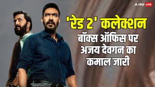 Raid 2 Box Office Collection Day 17: 'रेड 2' की आज की कमाई जानकर अजय देवगन के लिए रिस्पेक्ट बढ़ जाएगी, मिशन इंपॉसिबल भी कुछ नहीं बिगाड़ पाई