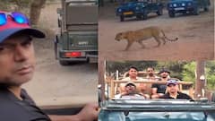 Watch: рд░рд╛рд╣реБрд▓ рджреНрд░рд╡рд┐реЬ рдХреЗ рд╕рд╛рдордиреЗ рдЖ рдЧрдпрд╛ 'рд▓реЗрдкрд░реНрдб', рдЭрд╛рд▓рд╛рдирд╛ рдЬрдВрдЧрд▓ рдореЗрдВ рдерд╛ RR рдЯреАрдо рдХрд╛ рдХреЛрдЪрд┐рдВрдЧ рд╕реНрдЯрд╛рдл; рджреЗрдЦреЗрдВ рдлрд┐рд░ рдХреНрдпрд╛ рд╣реБрдЖ
