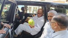 दत्ता घाडगेंनी शरद पवारांना भेट दिला 3 किलोचा आंबा, पाहा फोटो