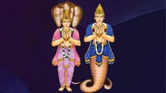 Rahu Ketu Gochar 2025 : आज राहू-केतूचं होणार महासंक्रमण; पुढचे दीड वर्ष राजासारखं जीवन जगतील 'या' 5 राशी, पैशांचा पाऊस पडणार