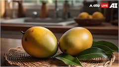 सिर्फ अल्फांसो को ही मानते हैं आम तो देख लें यह लिस्ट, जानें गुजरात के कौन-कौन से आम मचाते हैं धूम?
