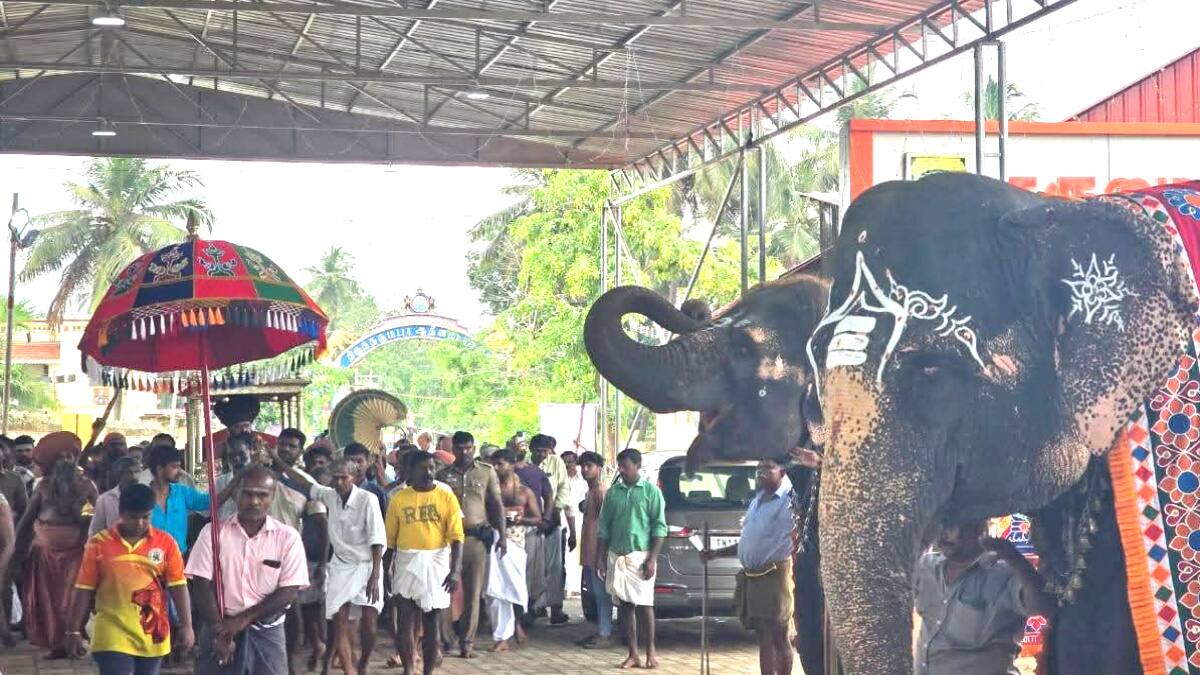 பிரசித்தி பெற்ற பட்டணப் பிரவேசம் விழா - வெள்ளி நாற்காலி பல்லக்கில் எழுந்தருளினார் தருமபுரம் ஆதீனம்