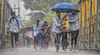 Monsoon: सावधान! मुंबईसह संपूर्ण महाराष्ट्रात तीव्र पावसाचे अलर्ट; पुढील आठवड्यापासून धो-धो सरी कोसळणार, हवामान विभागाचा अंदाज काय?