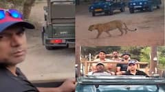Watch: રાહુલ દ્રવિડ સામે અચાનક આવી ગયો 'દીપડો', જુઓ પછી શું થયું?