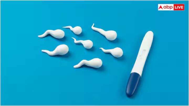 આ કિટ્સ સૌથી સરળ અને સસ્તો વિકલ્પ છે, જે બજારમાં સરળતાથી ઉપલબ્ધ છે. આ ટેસ્ટ ગર્ભાવસ્થા પરિક્ષણ કીટની જેમ કામ કરે છે. આમાં તમારે નમૂના એકત્રિત કરીને કીટમાં આપેલા ઉપકરણમાં મૂકવાનો રહેશે. તે તમને 10 મિનિટમાં તમારા શુક્રાણુઓની સંખ્યા જણાવે છે.