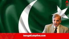 IMF Loan to Pakistan: ভারতের সঙ্গে সংঘাতে বিপদ, পাকিস্তানকে সতর্ক করল IMF, চাপানো হল নতুন ঋণ-শর্তও