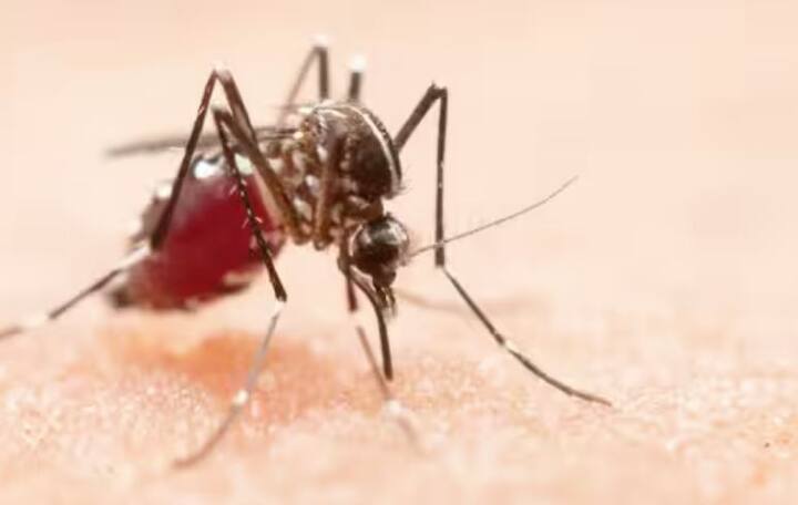 ਮੱਛਰਾਂ ਦੁਆਰਾ ਫੈਲਣ ਵਾਲੀਆਂ ਬਿਮਾਰੀਆਂ: ਘਰ ਦੇ ਆਲੇ-ਦੁਆਲੇ ਪਾਣੀ ਇਕੱਠਾ ਨਾ ਹੋਣ ਦਿਓ; ਮੱਛਰਦਾਨੀ ਦੀ ਵਰਤੋਂ ਕਰੋ।