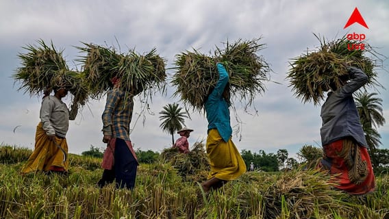 Weather Update: তীব্র দহন থেকে স্বস্তি, উত্তর থেকে দক্ষিণে দুর্যোগের আশঙ্কা, কোন কোন জেলায় বৃষ্টির পূর্বাভাস?