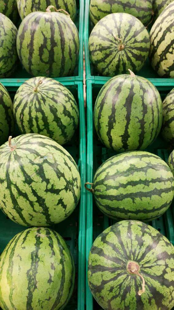 तरबूज खाने से होते हैं ये गजब के फायदे