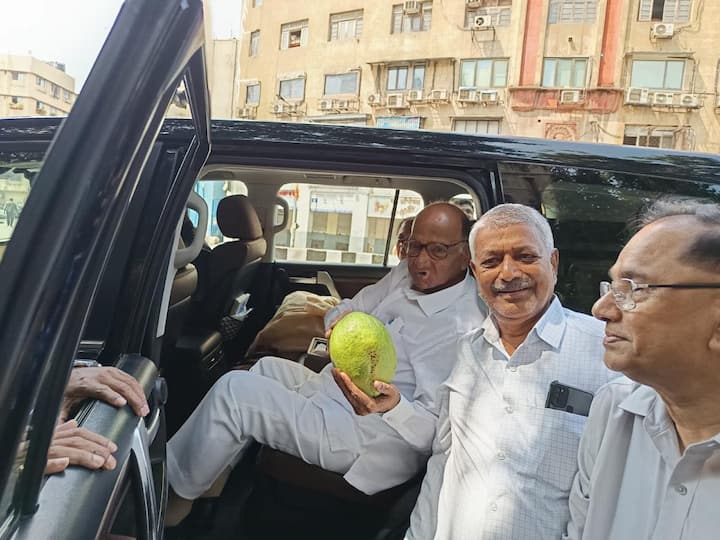 त्यामुळे महाराष्ट्रातील मोठा वर्ग शेतकरी वर्ग शरद पवारांना साथ देत आलाय.