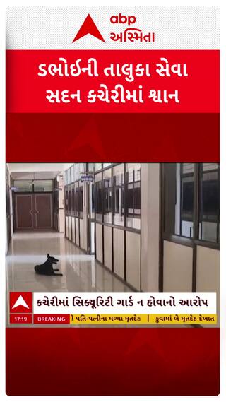 Vadodara news:  ડભોઈની તાલુકા સેવા સદન કચેરીમાં શ્વાનનો જમાવડો