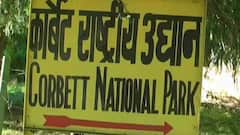 उत्तराखंड में बर्ड फ्लू को लेकर अलर्ट: कॉर्बेट व राजाजी नेशनल पार्क में विशेष निगरानी