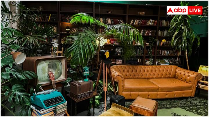 पीस लिली और बोस्टर्न फर्न जैसे इनडोर पौधे हवा में मौजूद एक्स्ट्रा नमी को सोख लेते हैं. हालांकि, इनका इस्तेमाल सीमित मात्रा में करना चाहिए.