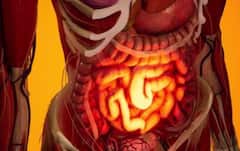 ਕਈ ਬਿਮਾਰੀਆਂ ਦਾ ਰਾਮਬਾਣ ਸ਼ਹਿਤੂਤ, ਖਾਂਦਿਆਂ ਹੀ ਆਹ 6 ਬਿਮਾਰੀਆਂ ਤੋਂ ਮਿਲ ਜਾਵੇਗਾ ਛੁਟਕਾਰਾ