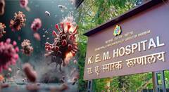 मुंबईच्या केईएम रुग्णालयातील 'त्या' दोघांचा मृत्यू, कोरोना झाल्याची चर्चा, हॉस्पिटलकडून महत्त्वाचं स्पष्टीकरण