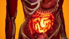 कई बीमारियों का रामबाण है शहतूत, खाते ही ये 6 बीमारियां हो जाएंगी दूर