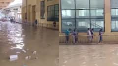 WATCH: Heavy Rains Cause Waterlogging At Silk Board Metro Station, Commute Disrupted