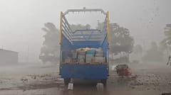 वादळी वाऱ्यासह तुफान पाऊस, झाडे उन्मळून पडली, दुकानांचे पत्रे उडाले, नागरिकांची उडाली  धांदल