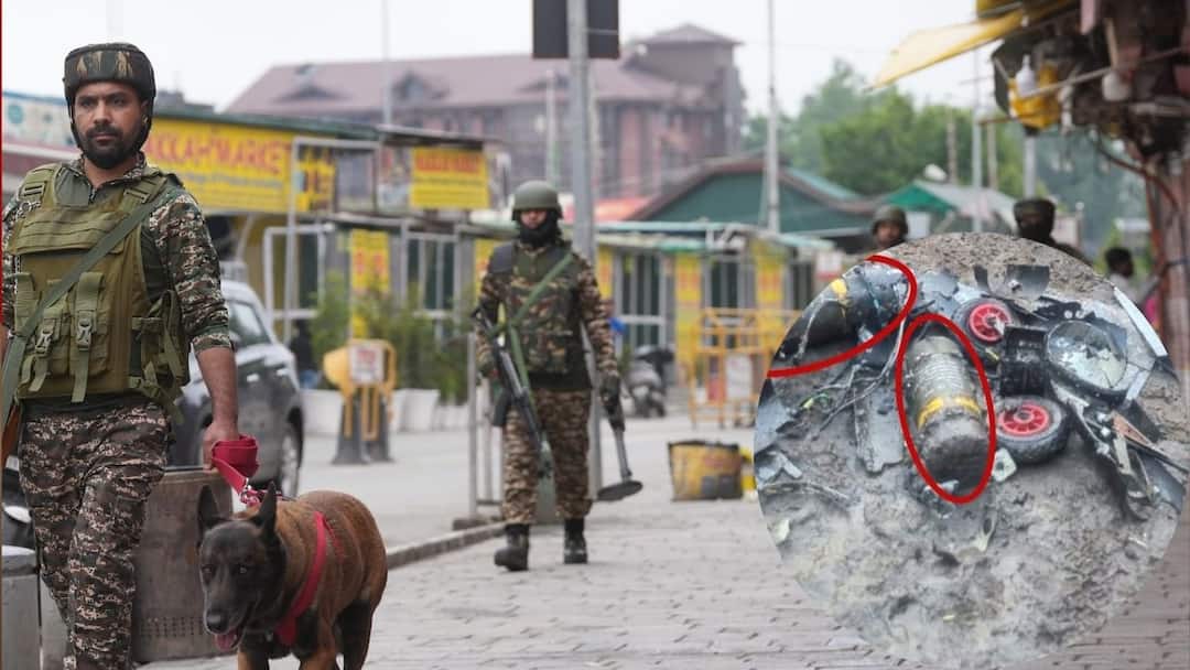 india destroyed 70 pakistani drones during operation sindoor gujarat rajasthan indian air force ऑपरेशन सिंदूर: इस जगह 70 पाकिस्तानी ड्रोन तबाह! भारत के एयर डिफेंस सिस्टम ने PAK को जमकर रुलाया