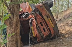 चरणमाळ घाटात भीषण अपघात; जनावरांनी भरलेला ट्रक पलटला, 26 रेड्यांचा मृत्यू, ट्रकचालक जखमी