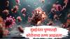 Pune Covid 19 : मुंबई पाठोपाठ आता पुण्यातही कोरोनाचा रुग्ण आढळला, 87 वर्षांच्या वृद्धाला कोव्हिडची लागण
