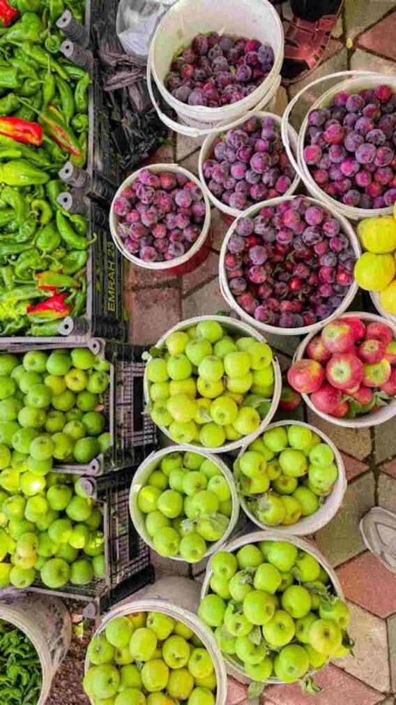 कश्मीर में फलों के अलावा किस चीज की खेती होती है